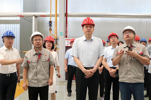 領(lǐng)導(dǎo)現(xiàn)場(chǎng)觀(guān)摩中集凌宇